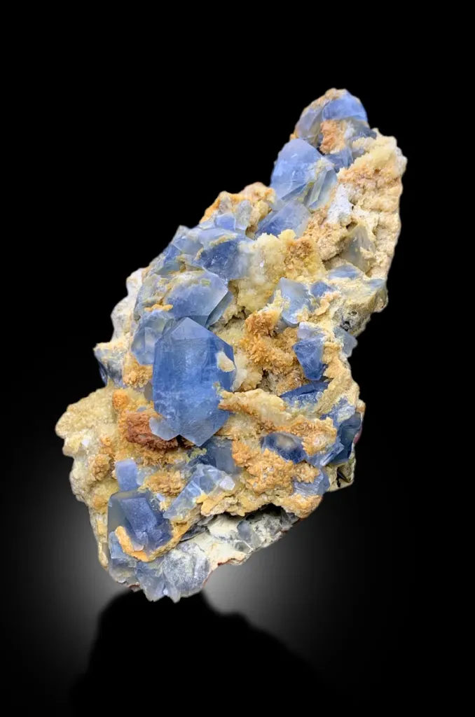 Celestine from Afghanistan - image 7