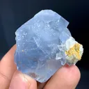 Celestine from Afghanistan - image 8