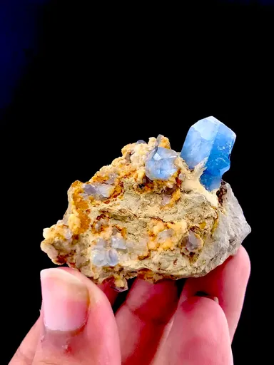 specimen video