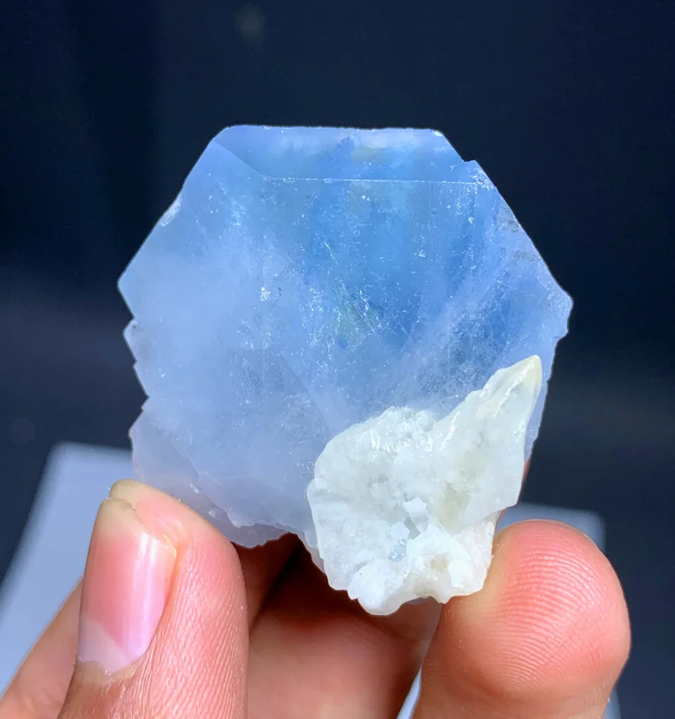 Celestine from Afghanistan - image 5