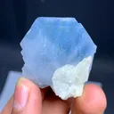 Celestine from Afghanistan - image 5