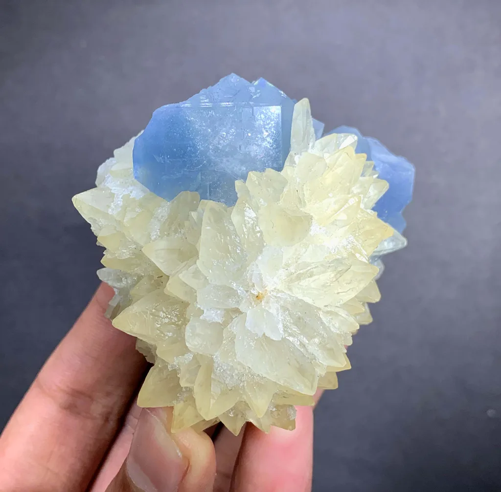 Celestine from Afghanistan - image 4