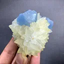 Celestine from Afghanistan - image 4