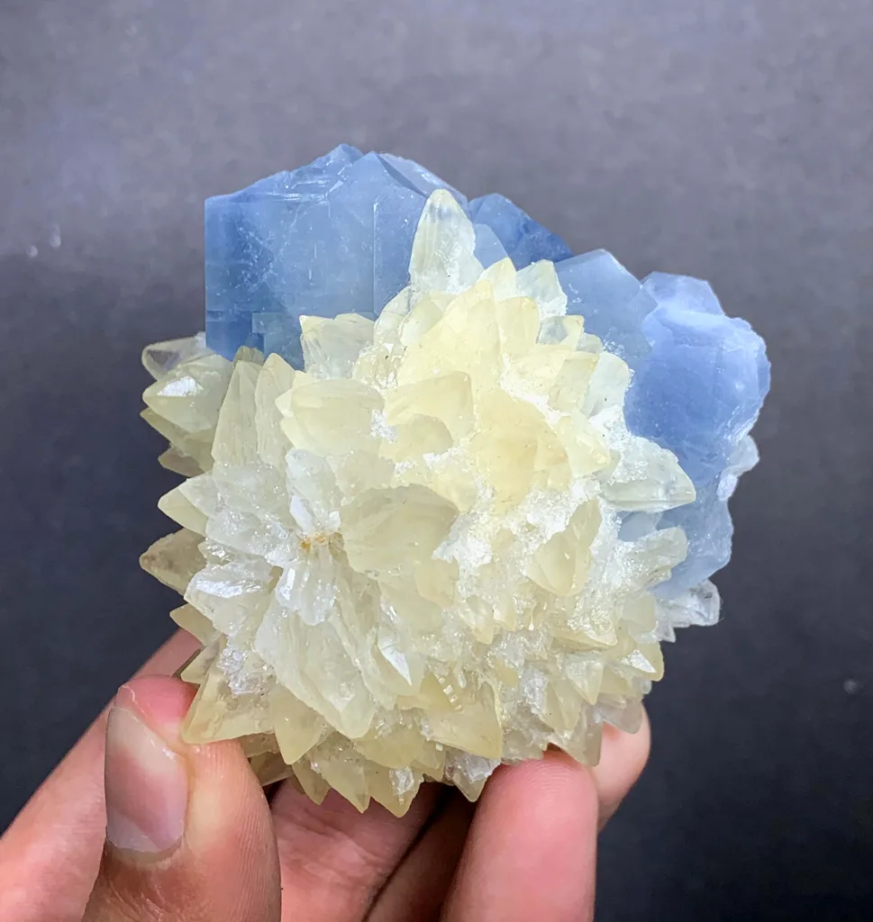 Celestine from Afghanistan - image 6