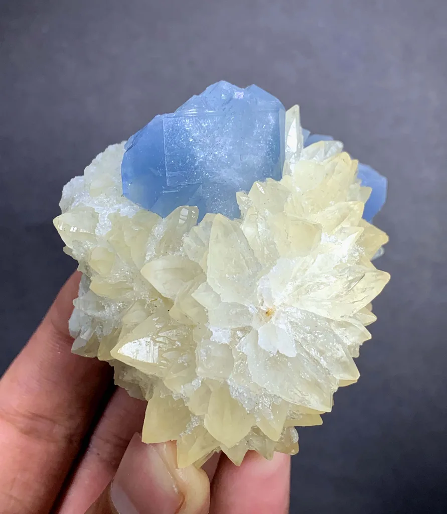 Celestine from Afghanistan - image 5