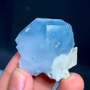 specimen video