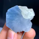Celestine from Afghanistan - image 8