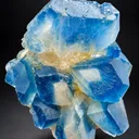 Celestine from Afghanistan - image 4