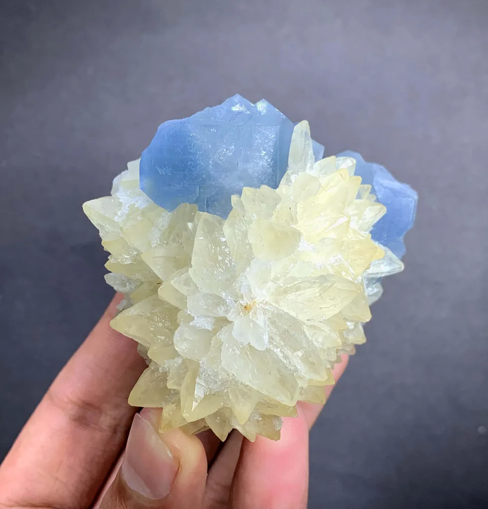 Celestine from Afghanistan - image 3