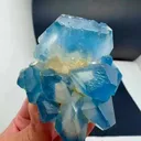 specimen video