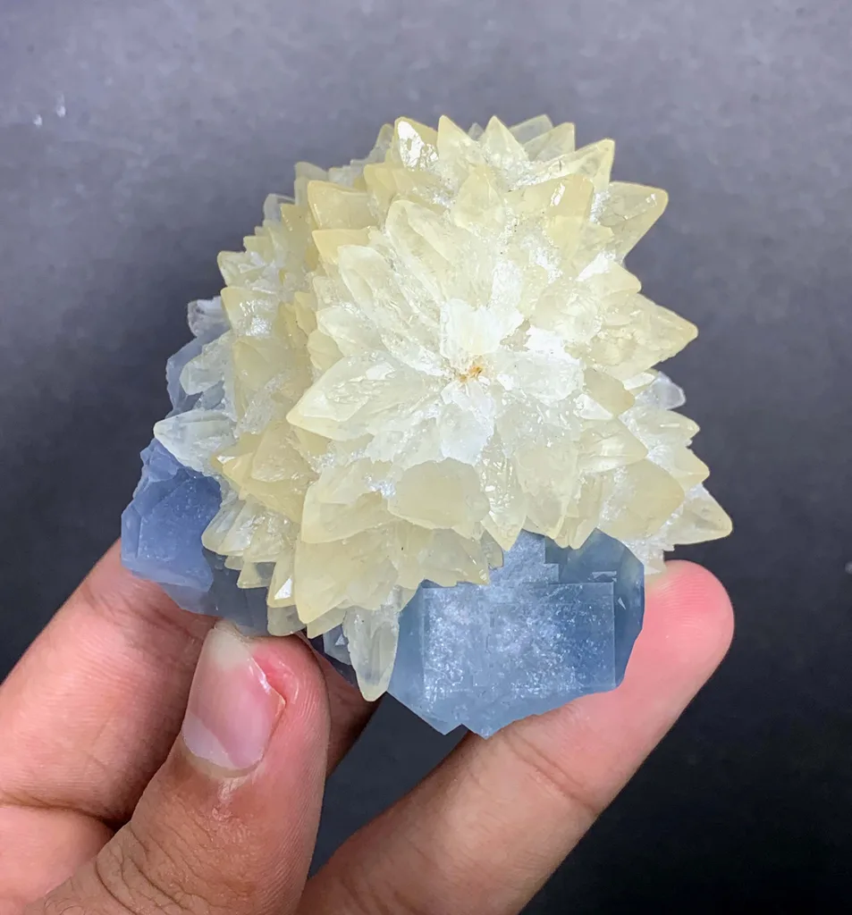 Celestine from Afghanistan - image 7