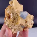 specimen video