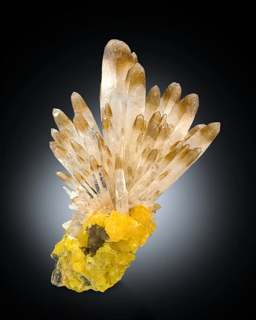 Celestine from Poland image