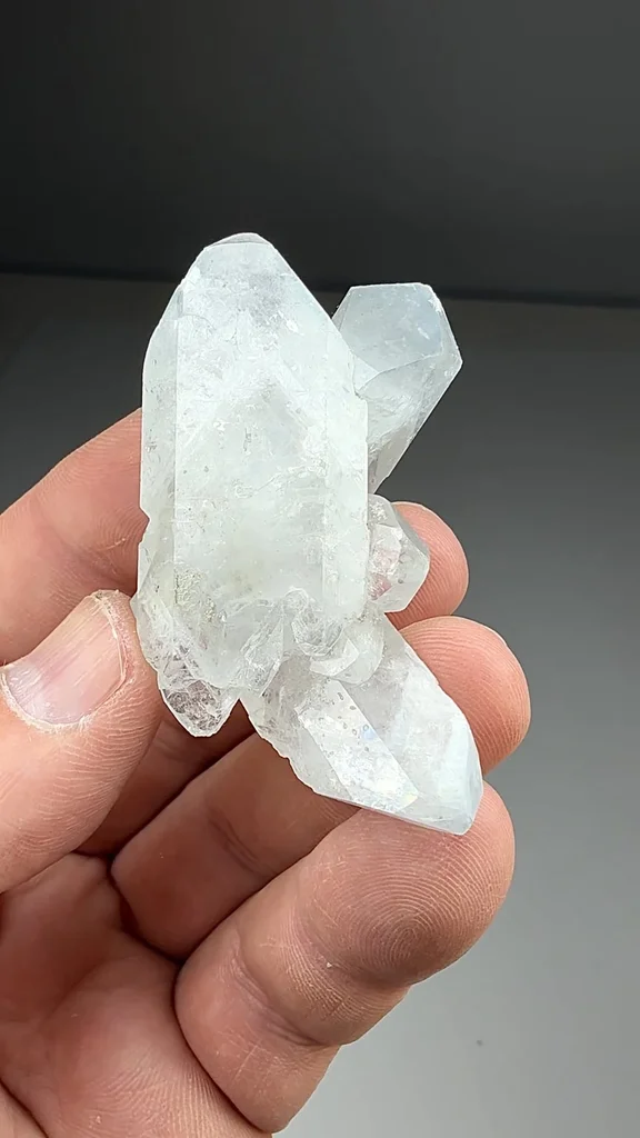 Celestine from Stoneco Maumee Quarry, Ohio, USA - image 2