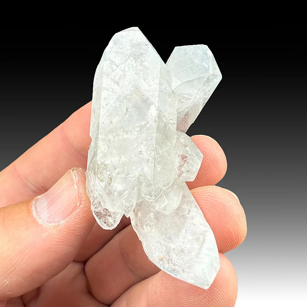 Celestine from Stoneco Maumee Quarry, Ohio, USA image