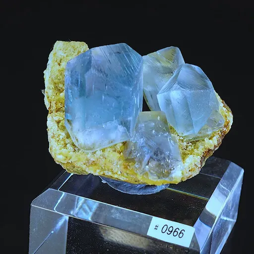 specimen video