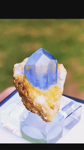 specimen video