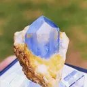 specimen video