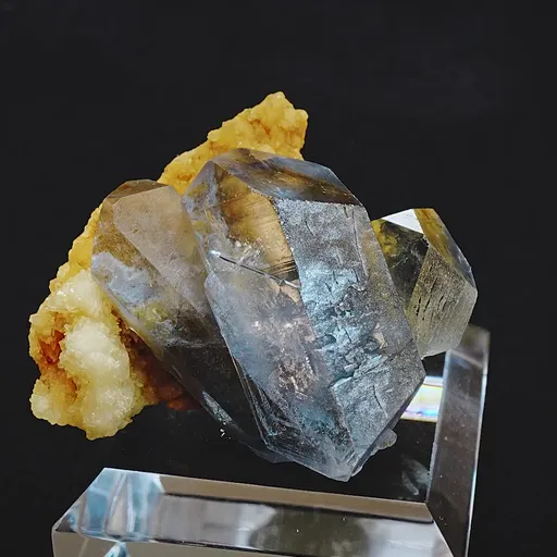 specimen video