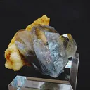 specimen video