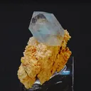 specimen video