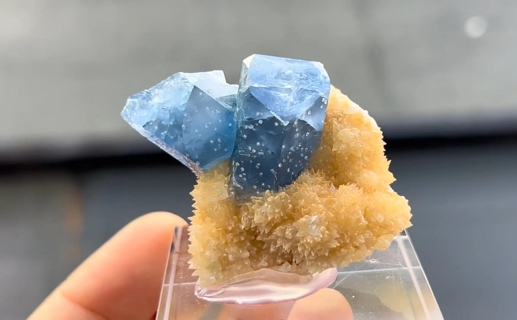 Celestine with Calcite - image 5