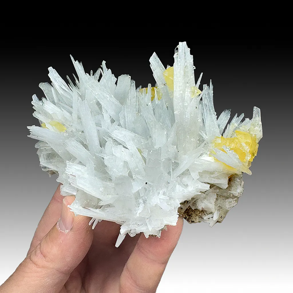 Celestine with Calcite image
