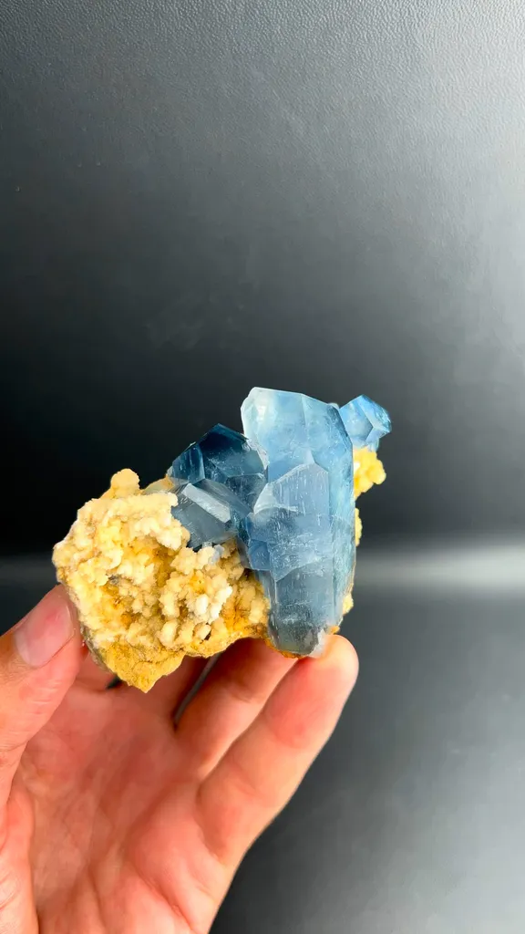 specimen video