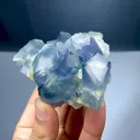 specimen video