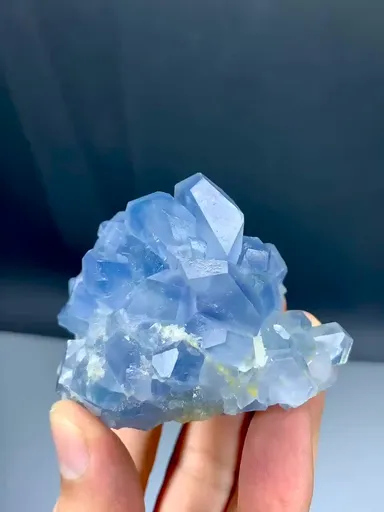 specimen video