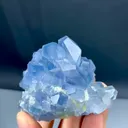 specimen video