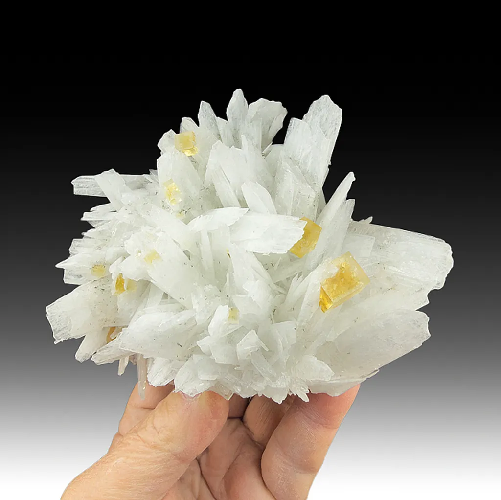 Celestine with Fluorite image