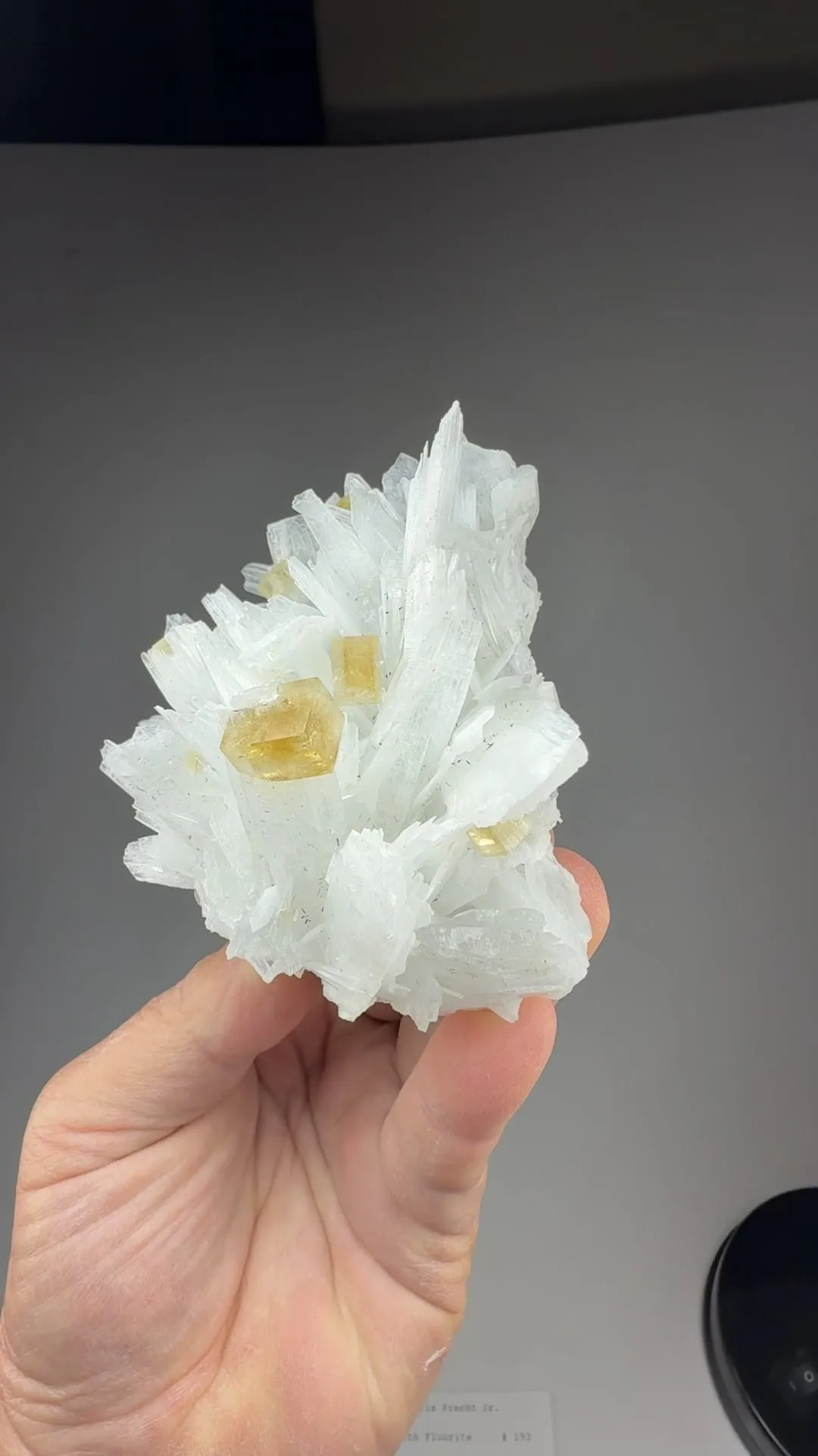 Celestine with Fluorite - image 2