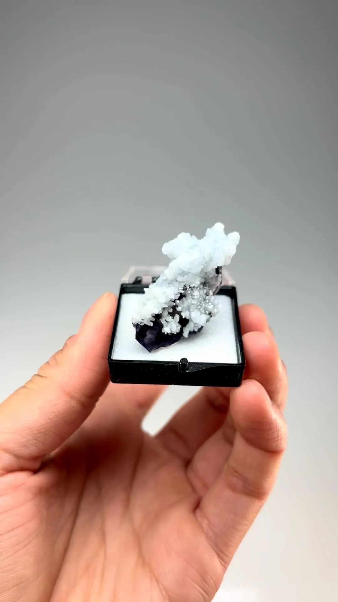 Celestine with Fluorite - image 2