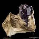 Celestine with Fluorite (rare combination) - image 3