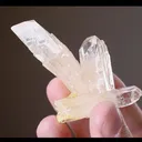 Celestine with NATIVE Sulphur - image 2