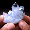 specimen video