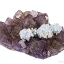 Celestite on Fluorite - image 4