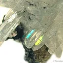 Cerussite - image 2