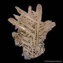Cerussite - image 6