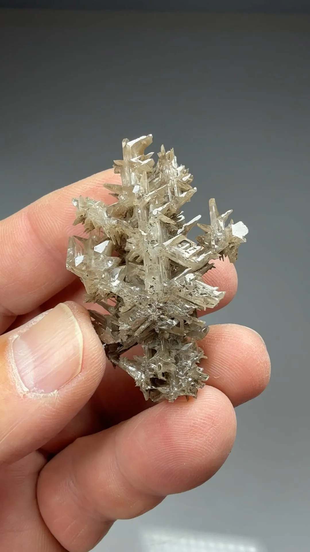 Cerussite - image 2