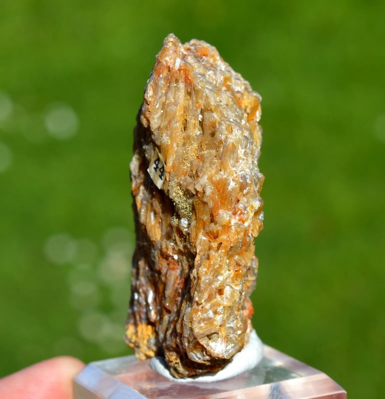 Cerussite 164 grams - Fedj el Adoum Mine, Fedj-el-Adoum, Siliana, Tunisia - image 6