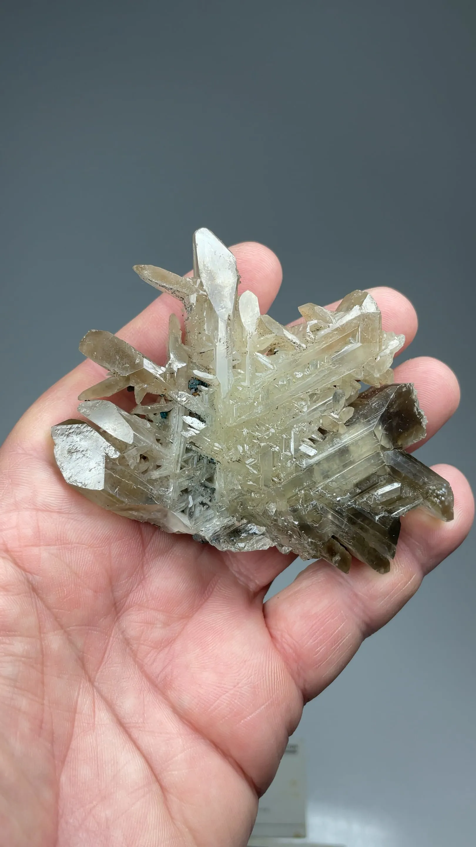 Cerussite - image 2