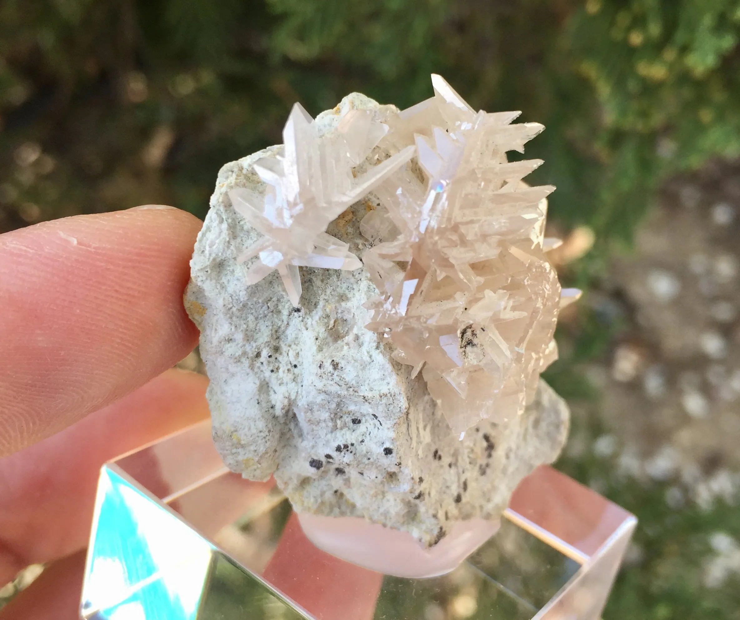 Cerussite - image 5