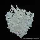 Cerussite - image 4