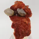 Cerussite - image 2
