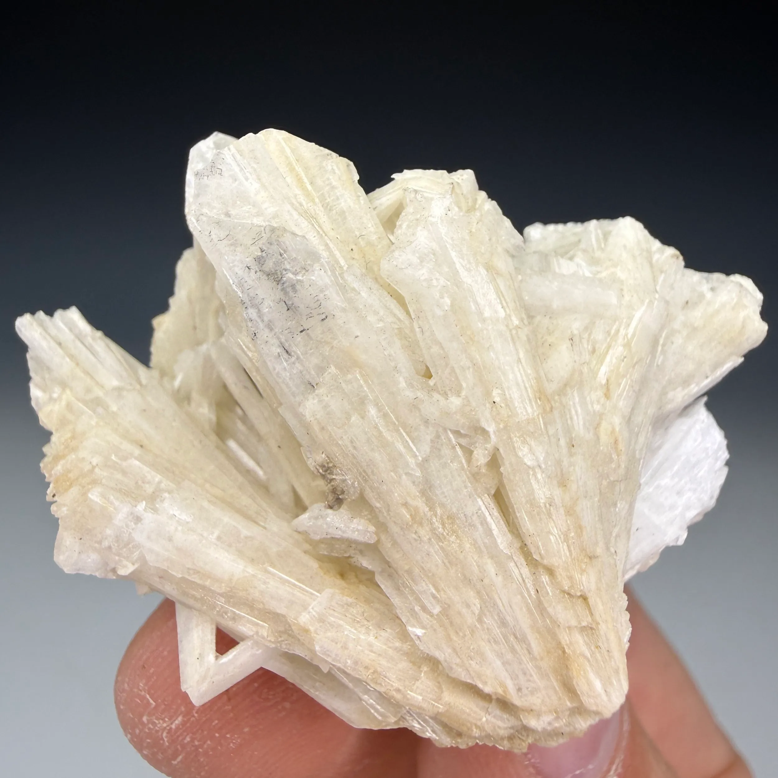 Cerussite - image 1