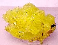 Cerussite image