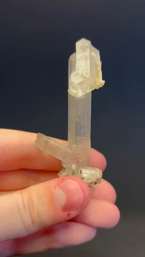 specimen video