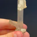 specimen video